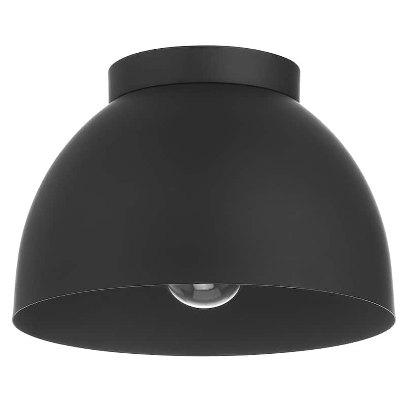 Hunter Erling 1 Light Medium Flush Mount Ceiling Light - Modern - Hallyway, Bathroom, Entry, Laundry Room - Damp Rated!