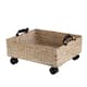 Option White Wash