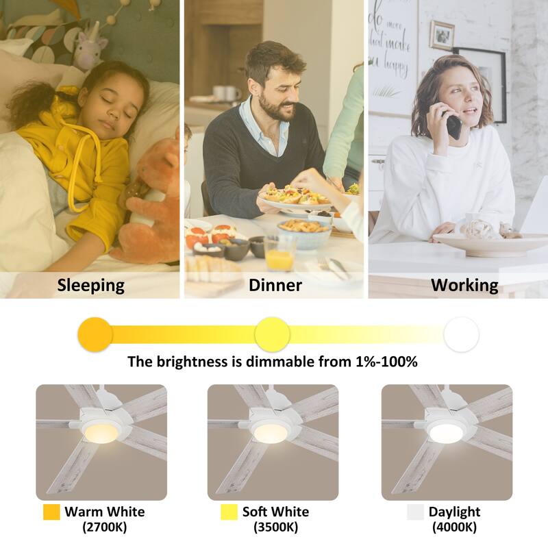 CARRO Livingston 60" 5-Blade Indoor Ceiling Fan with Light and Remote-Downrod