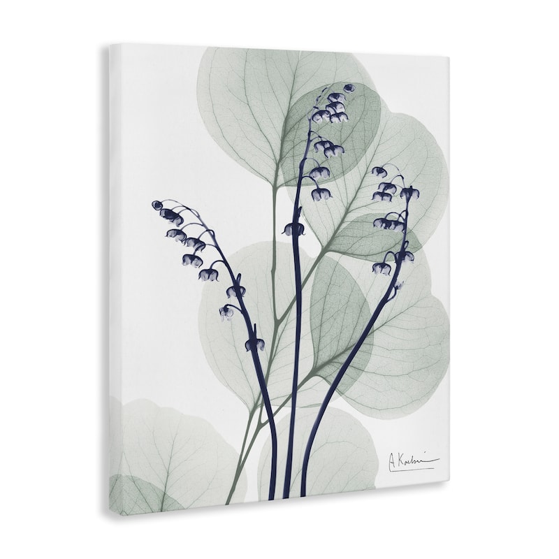 Stupell Serene Modern Eucalyptus Canvas Wall Art Design By Albert Koetsier