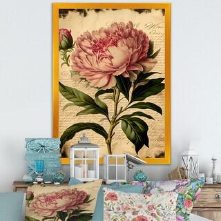 Designart "Vintage Pink And White Peony I" Floral Peony Framed Art ...