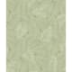 Option Fern