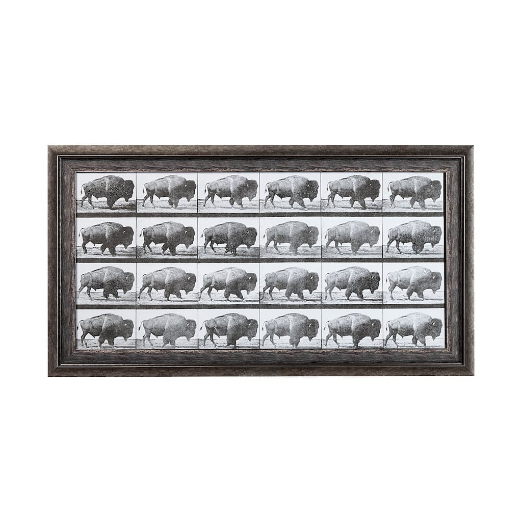Buffalo Walking Framed Art Print