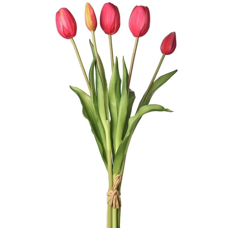 Plastic Soft Touch Tulip Bundlex5 15.25"