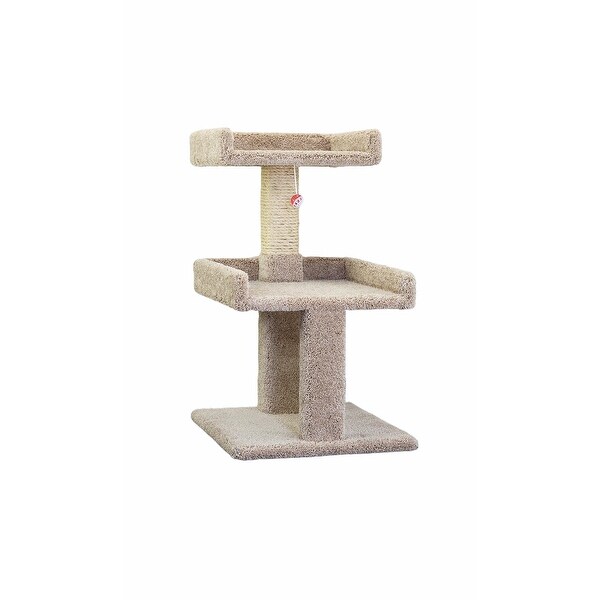 Cat condo for large sales cats