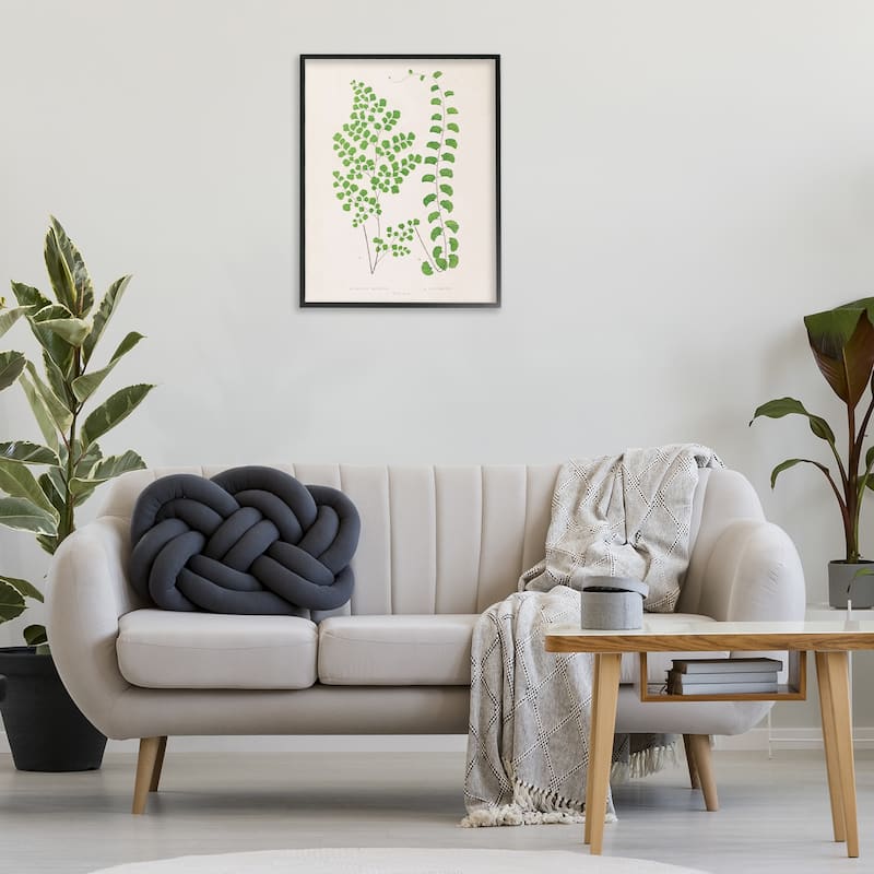 Stupell Vivid Green Ferns Study Framed Giclee Art Design By Phillipa Katz