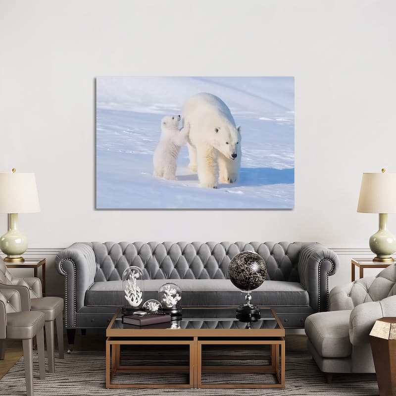 iCanvas "Polar Bear Sow With Spring Cub Newly Emerged From Their Den, Area 1002, ANWR, Alaska" by Steve Kazlowski Canvas Print