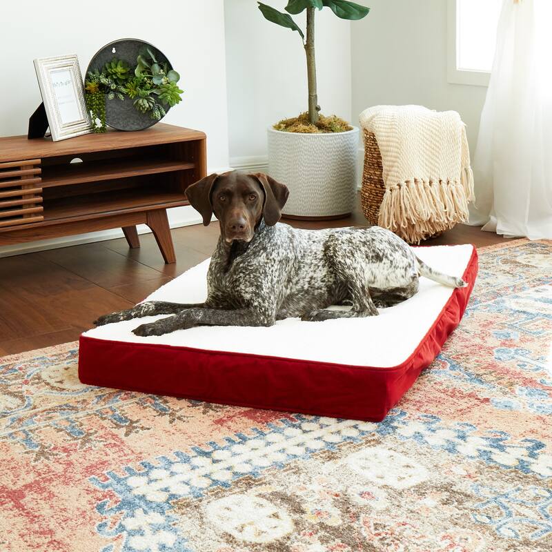 Happy Hounds Ozzie Deep Red Orthopedic Dog Bed