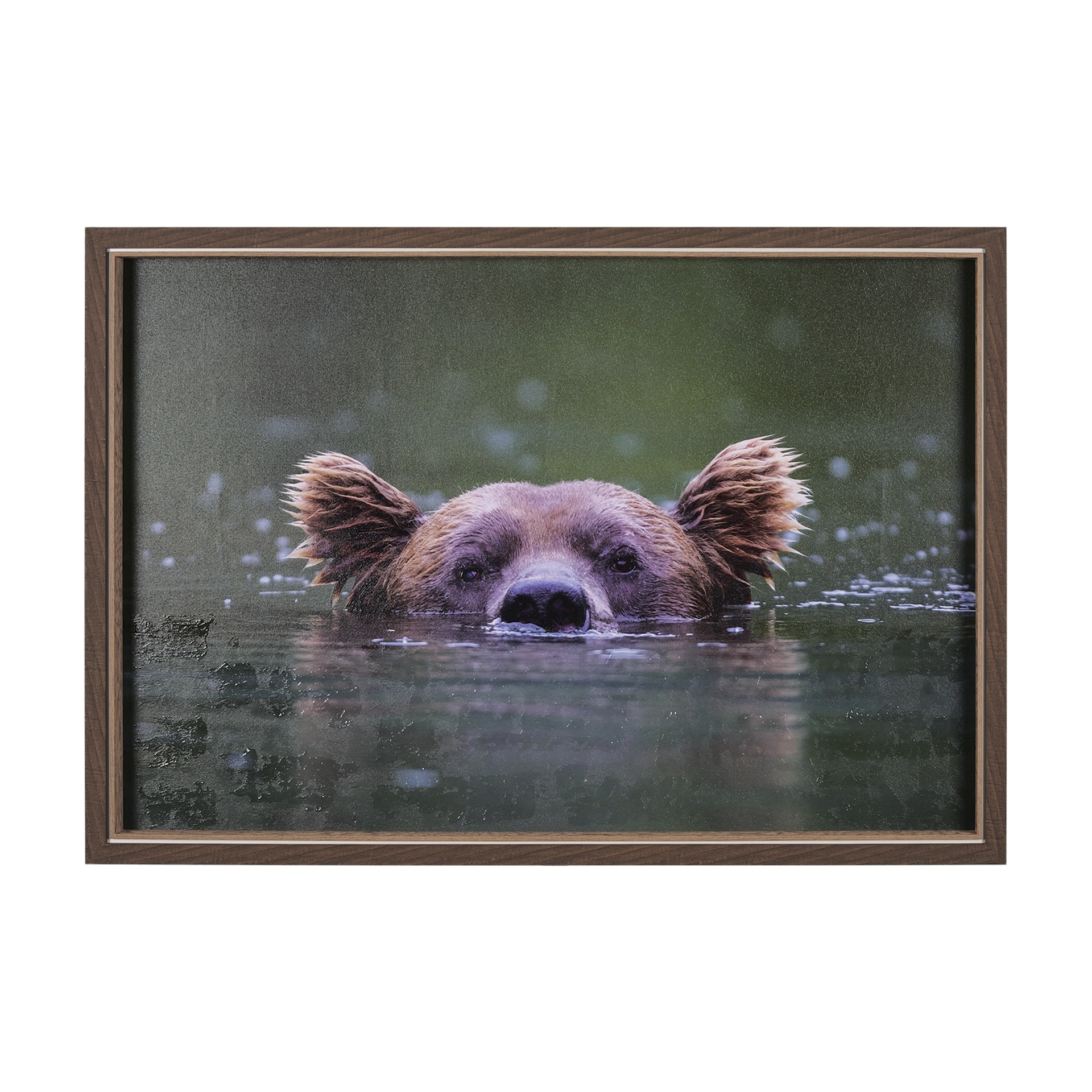 Peeking Out by Mercana Studio a Hand Embellished Textured Framed Photo Art Print