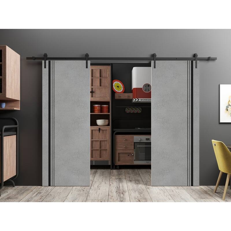 Sturdy Double Barn Door 36 x 80 with Planum 0011 Concrete with 13FT