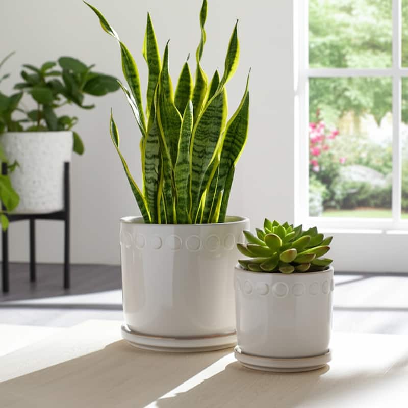 Ceramic Bubble Trim Flower Pots and Planters - Set of 2, 8",6" - 8.0"