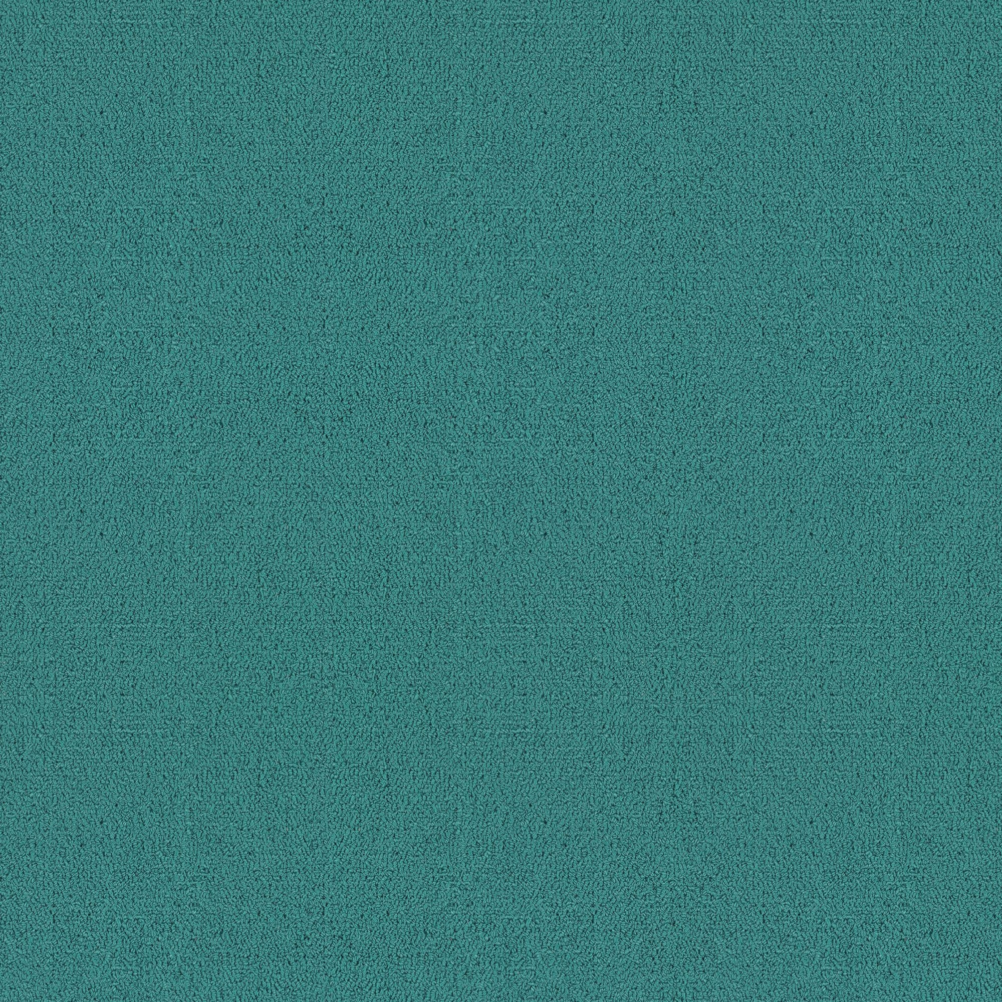 Shaw Philadelphia Commercial Color Accents TL 24" x 24" Glue Down