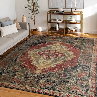 Soho Traditional Medallion Indoor Area Rug