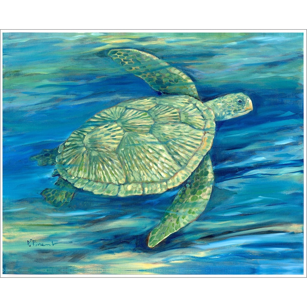Lagoon Turtle III Giclee on Canvas No Glass