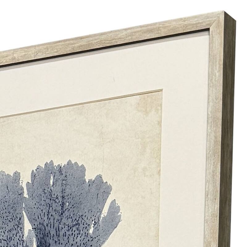 Paragon Indigo Sea Life Framed Art - Set of 4