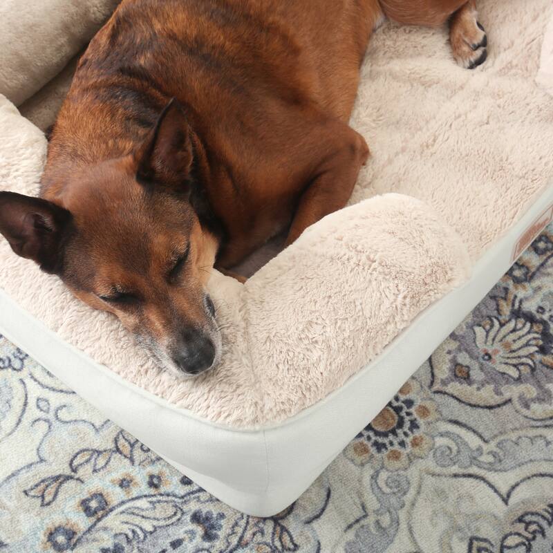 TOWN & COUNTRY EVERYDAY CuddleTown Comfy Solid Bolster Sofa Supportive Pet Bed