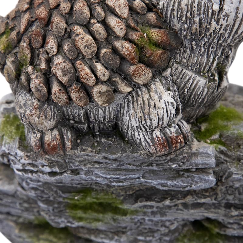 Turtle Couple Outdoor Garden Bird Bath - 11.75"