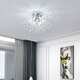 Silver Canopy