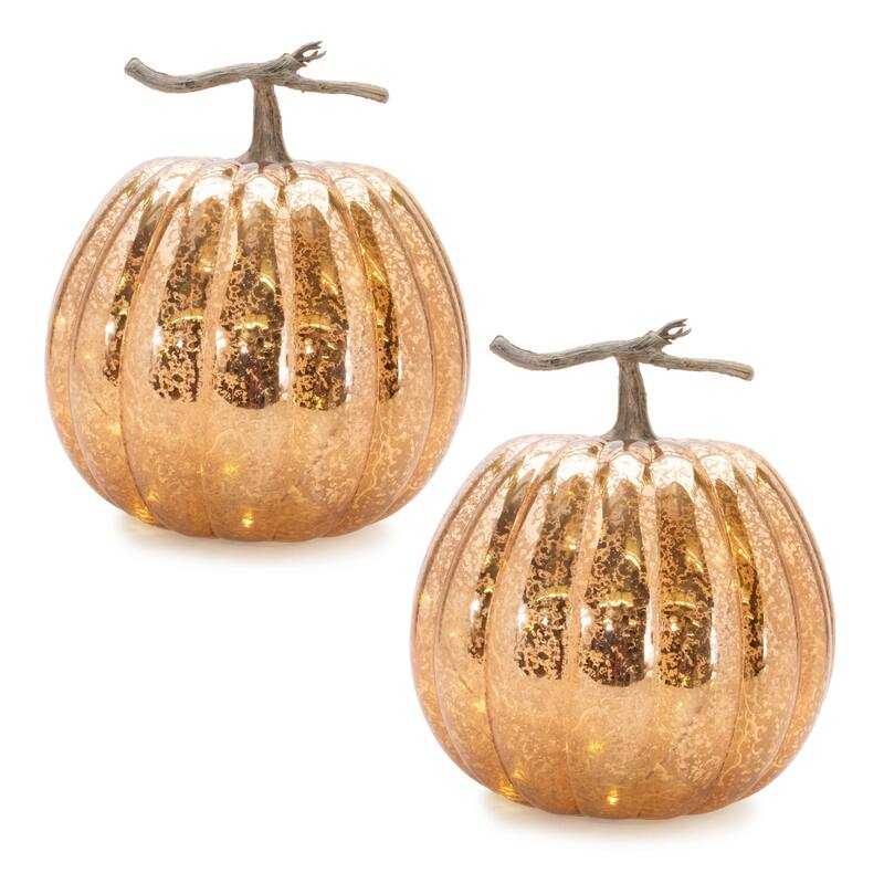 LED Mercury Glass Pumpkin Décor (Set of 2)