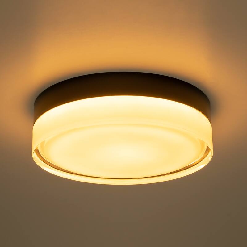 Modern Matte Black Circular Clear Frosted Glass Integrated LED Flush Mount Ceiling Light