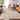 Premium Washable Super Soft Mid Century Modern Mayfield Rug