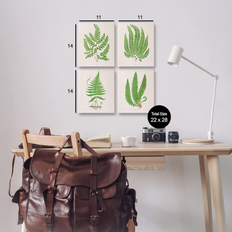 Stupell Subtle Green Fern Branches Canvas Wall Art Design By Phillipa Katz (Set of 4)