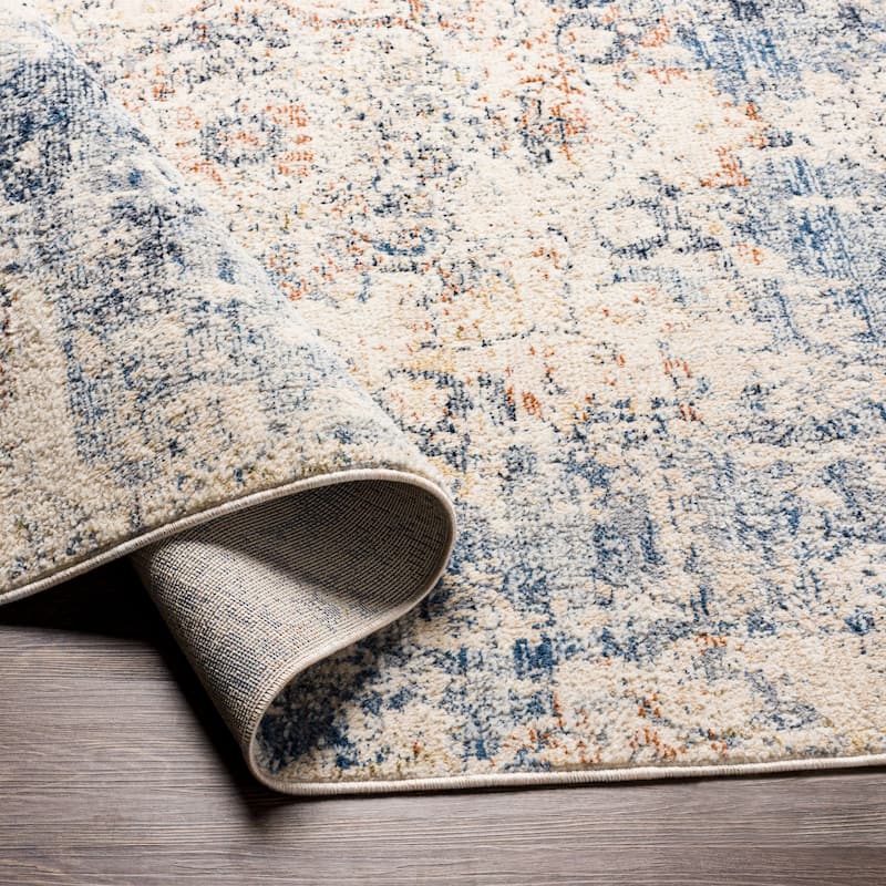 Soheila Vintage Medallion Area Rug