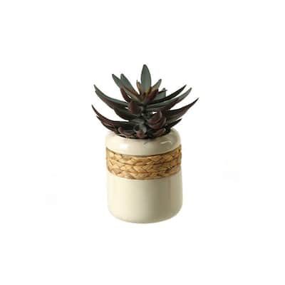 HomeStock Green/Plum Echeveria in Ceramic Planter - Colorful Faux Plant for Shelf or Desk Décor - 12