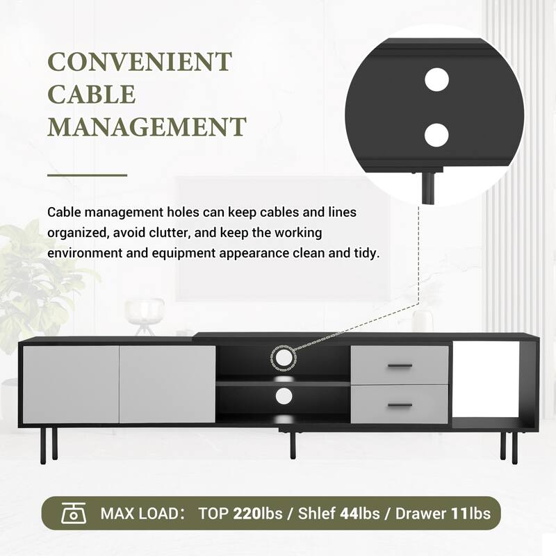 Living Room TV Stand with Storage and Two Drawers