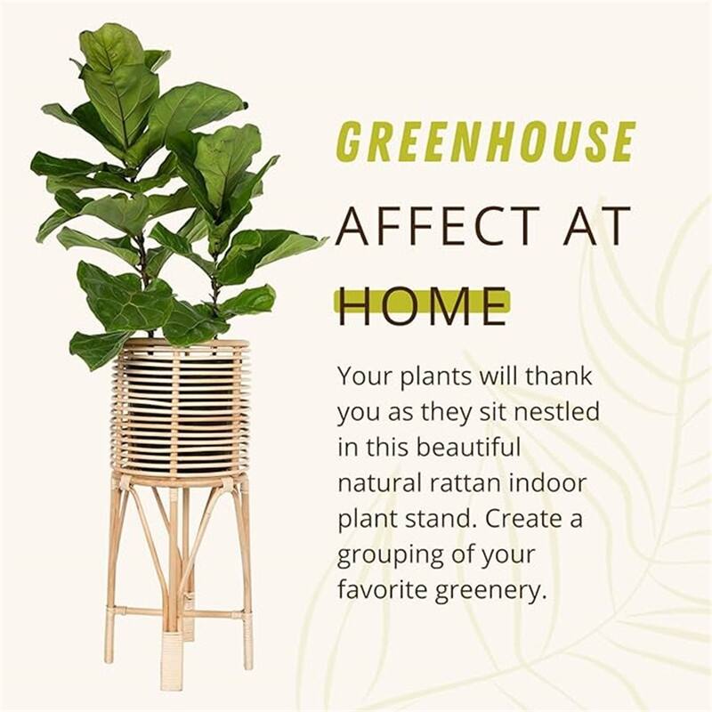 Rattan Indoor Plant Stand