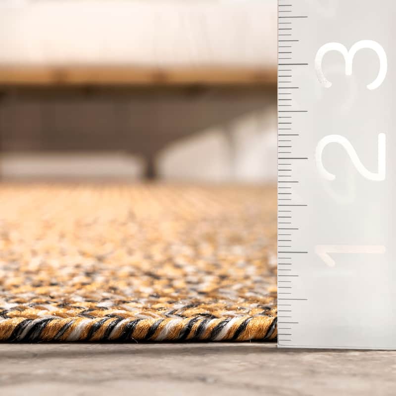 Nuloom Wynn Braided Indoor/Outdoor Area Rug