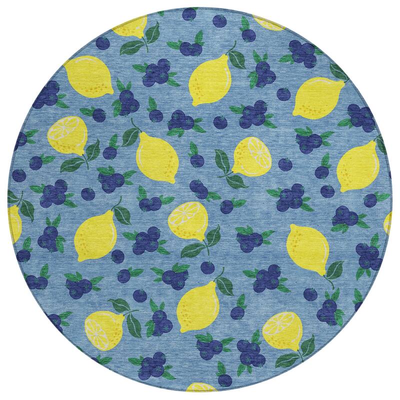 Machine Washable Indoor/ Outdoor Citrus Berry Chantille Rug