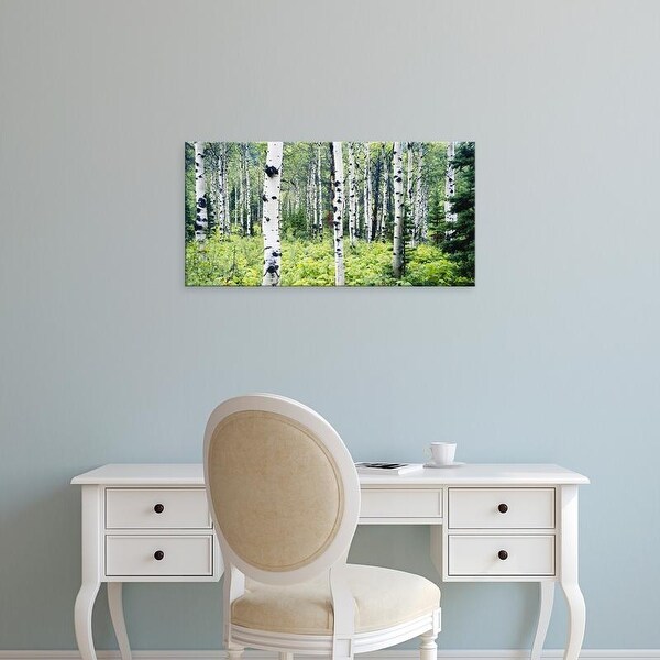 Easy Art Prints Paul Souders's 'Alpine Forest Of White Birch Trees' Premium Canvas Art