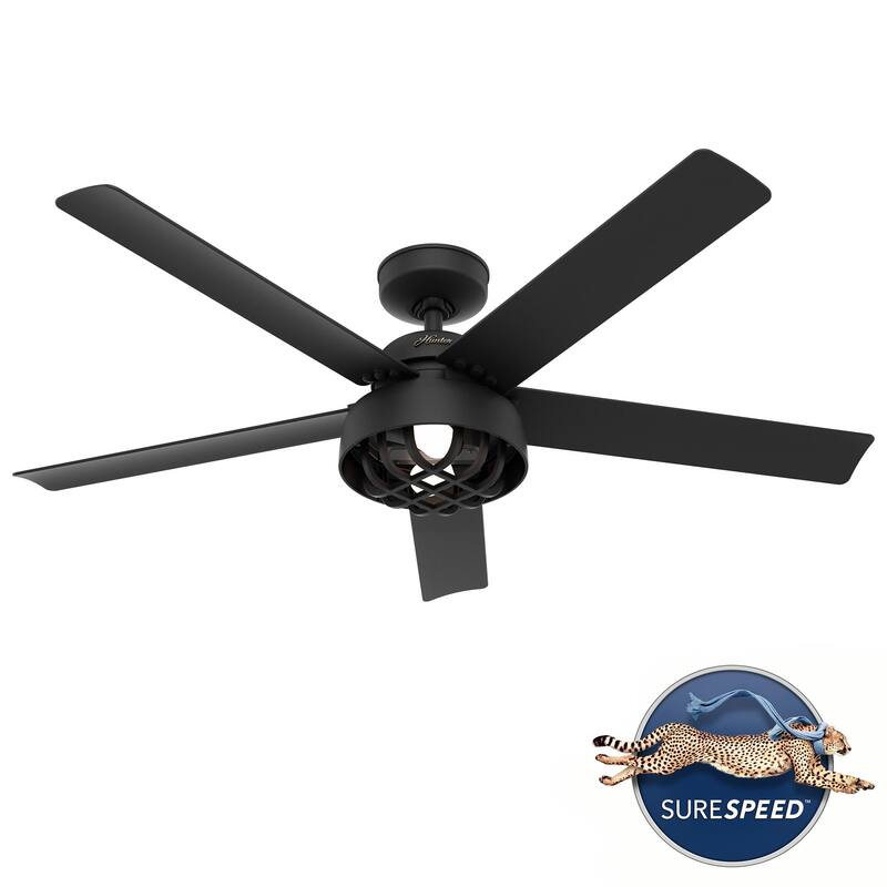 Hunter 52" Autumn Breeze II Ceiling Fan Indoor Outdoor LED Light & Handheld Remote - Industrial, Transitional, Modern, Caged