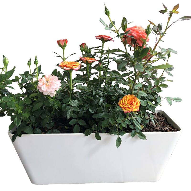 16" Rectangular Indoor/Outdoor Self-Watering Bamboo Planters