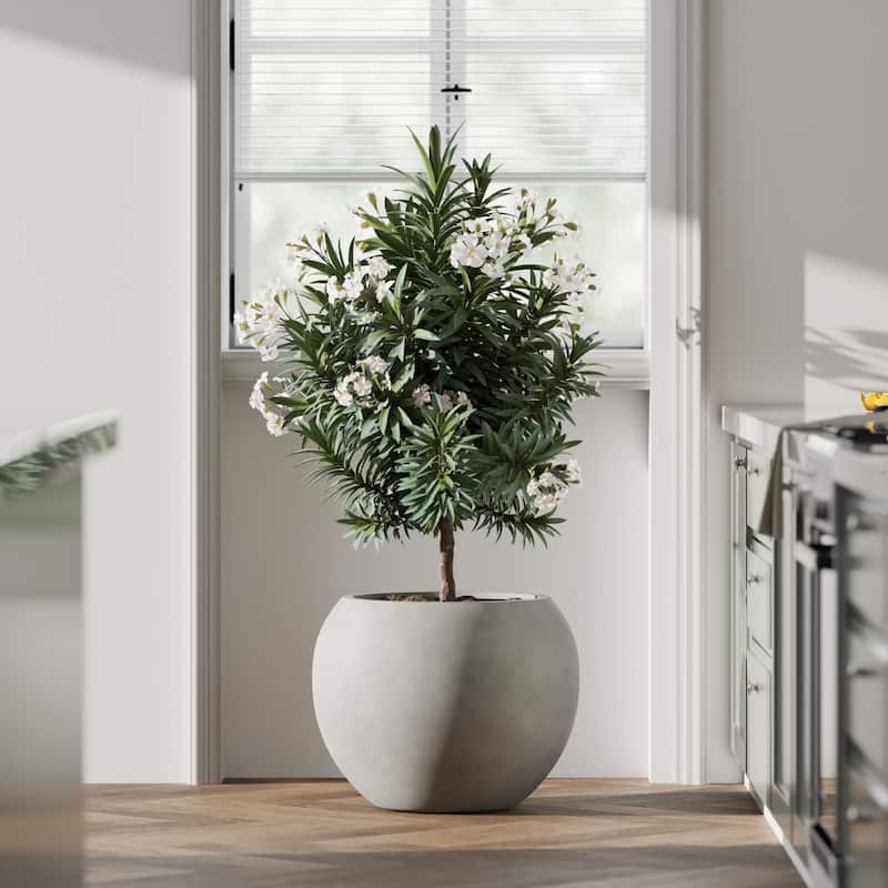 DTY Signature Mount Sherman 1-Piece Fiberstone Planter for Indoor/Outdoor