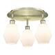 Option Antique Brass / Cased Matte White