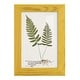 preview thumbnail 4 of 138, Nature Printed Ferns IX -Framed Print w/glass-Cherry Red 4x6 - Yellow