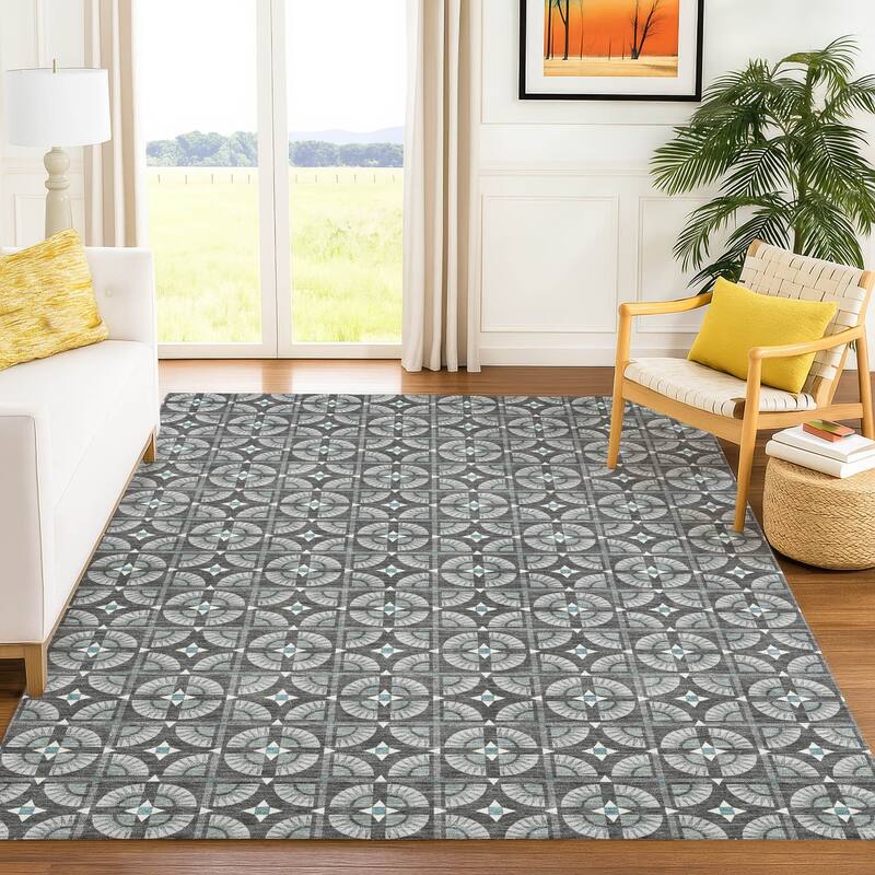 Machine Washable Indoor/ Outdoor Modern Roeland Chantille Rug