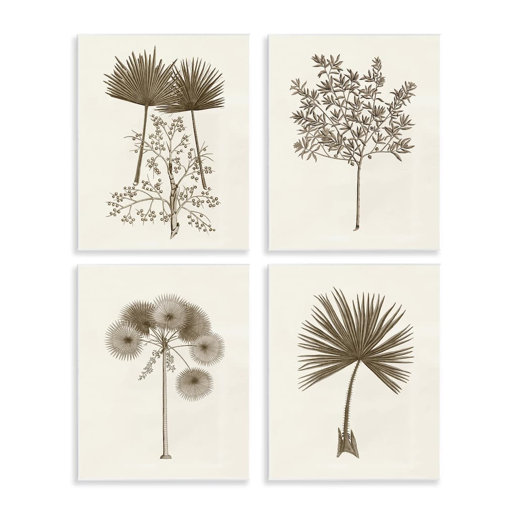 Stupell Various Vintage Palm Leaves Wall Plaque Art Design By Phillipa Katz (Set of 4)