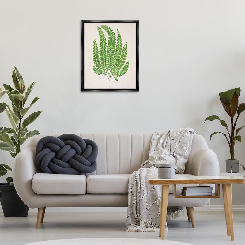 Stupell Cottage Ferns Study Framed Floater Canvas Wall Art Design By Phillipa Katz