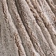 preview thumbnail 16 of 26, Woolly Mammoth 50''x60'' Throw Blanket