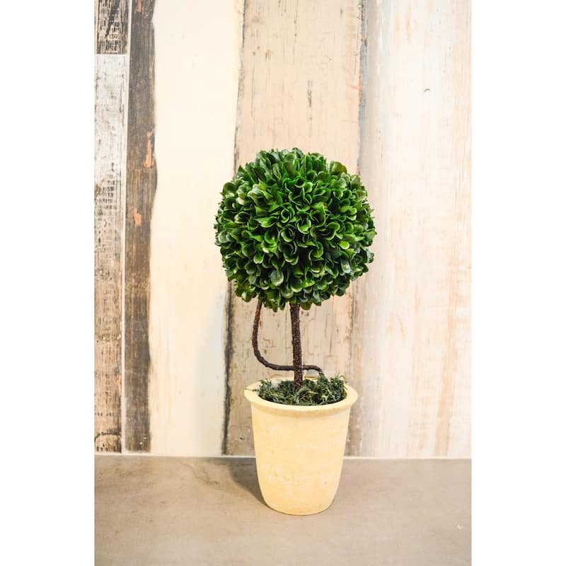 Faux Preserved Artificial Boxwood Ball Topiary Plant In Pot, 13"H - ABN5P010-GRN