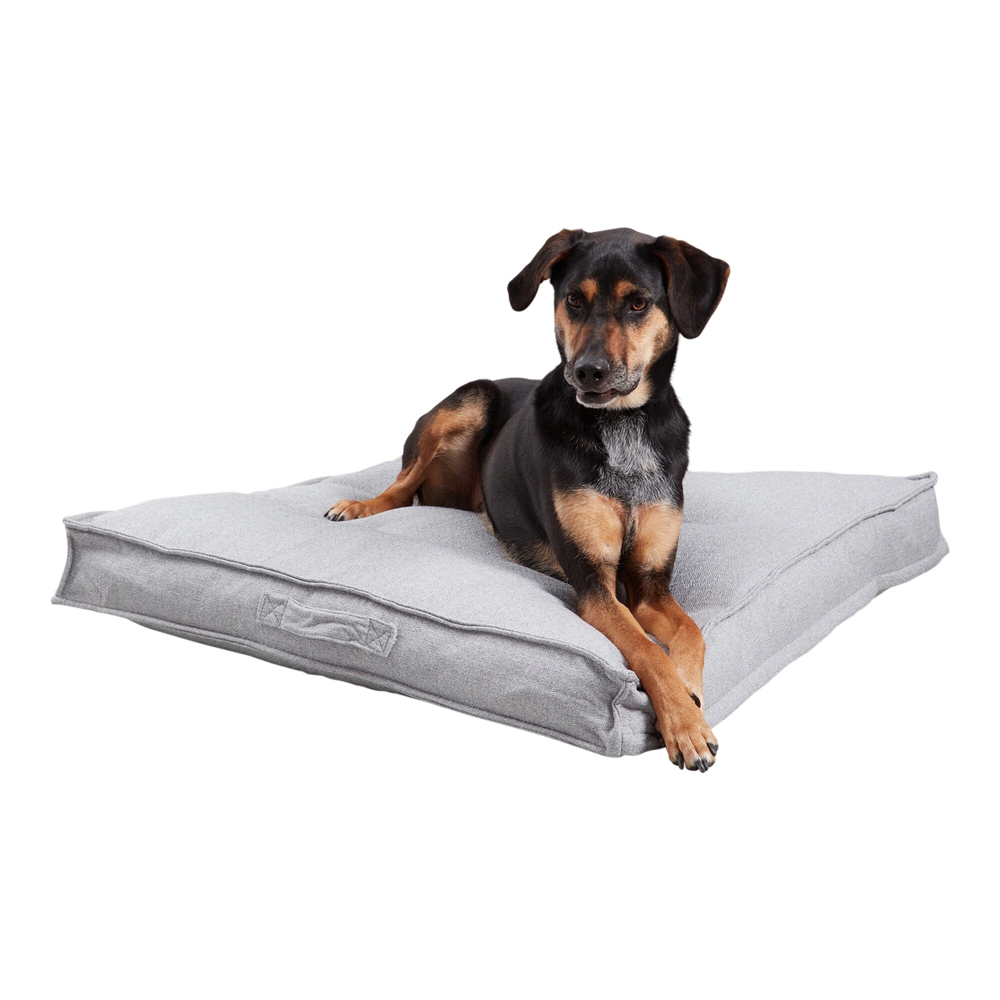Milo nest dog bed 2025