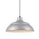 Option Painted Galvanized