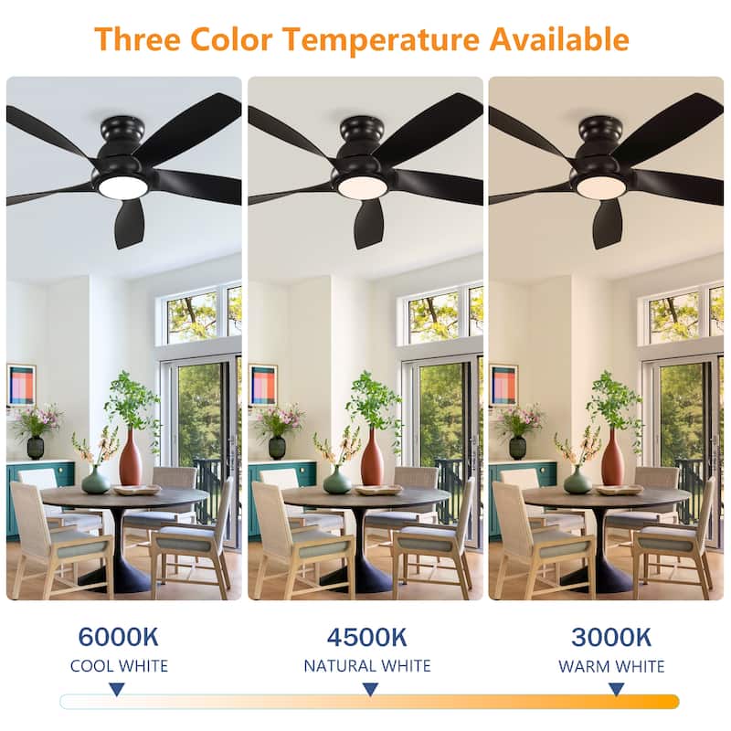 Ceiling Fan with Light Kit