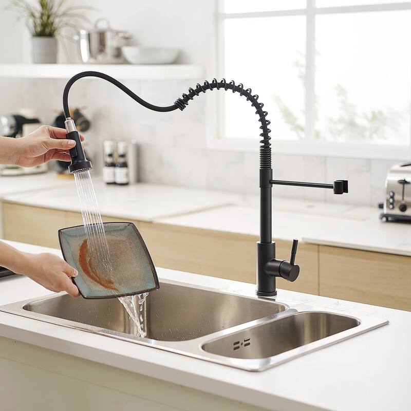 Single Handle Pull Down Kitchen Faucet with Double-Function