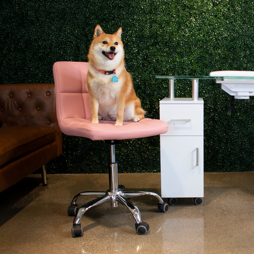 Pink tufted sales office chair