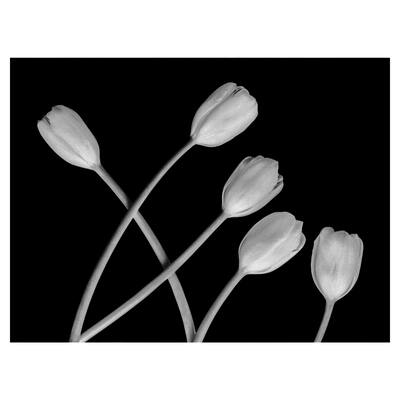 Untitled 132 Canvas Art Print