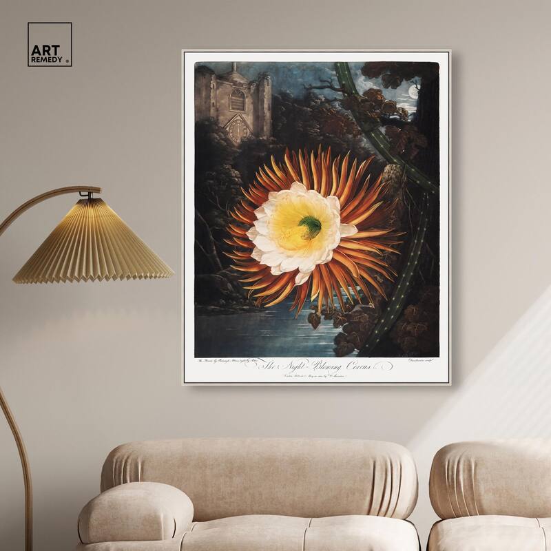 Night-Blowing Cereus 1807 Canvas by Art Remedy